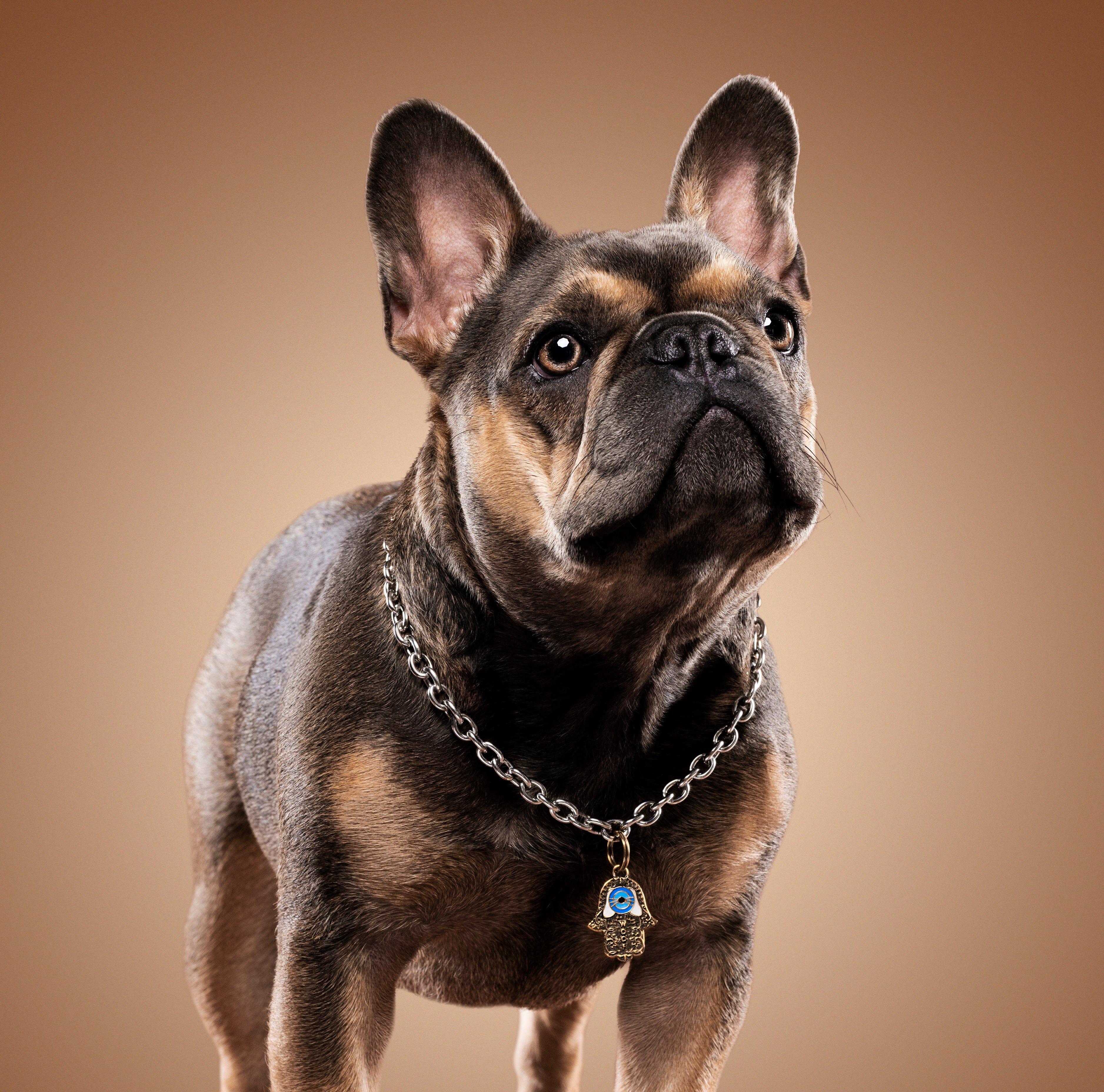 Protected Freedom - Hamsa Large Dog Tag - Image 2